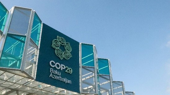 29th Conference of the Parties  (COP29)